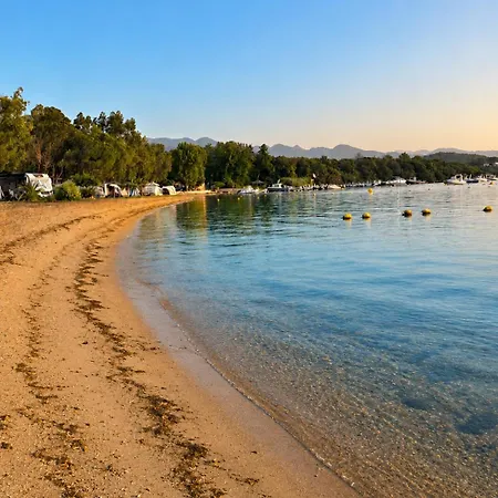 Les Chenes Du Golfe Premium 5 Personnes Campingplads Porto-Vecchio (Corsica)